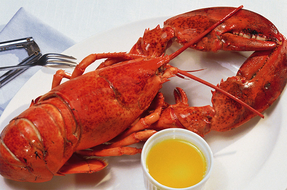 Lobster-Supper